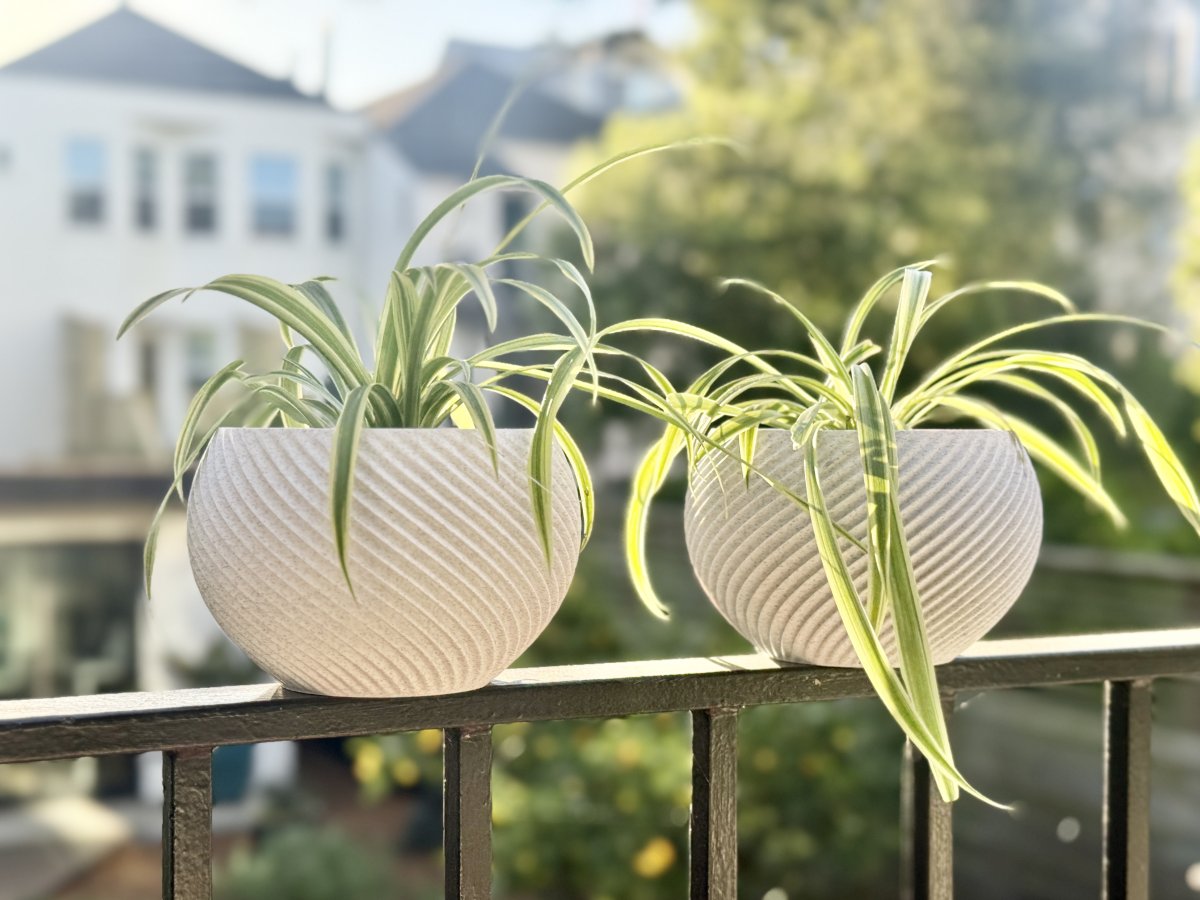 SFERA Organic Geometric Planters & Pots