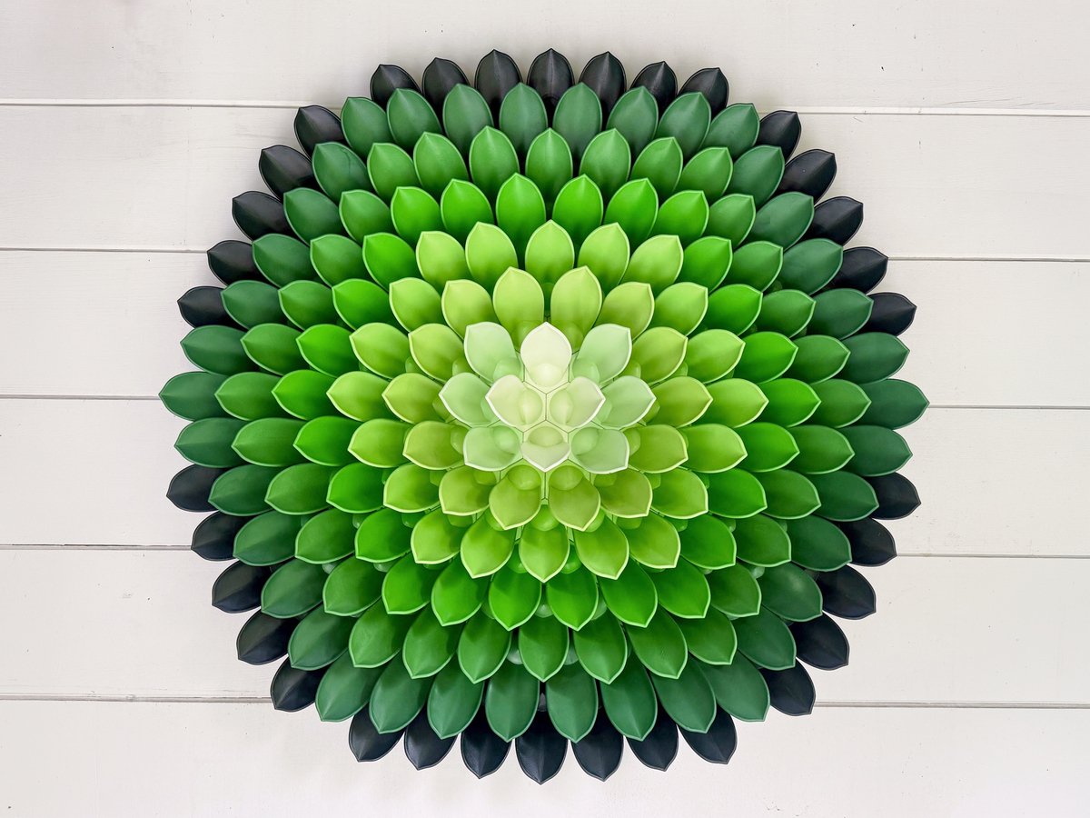 Succulent Wall Art