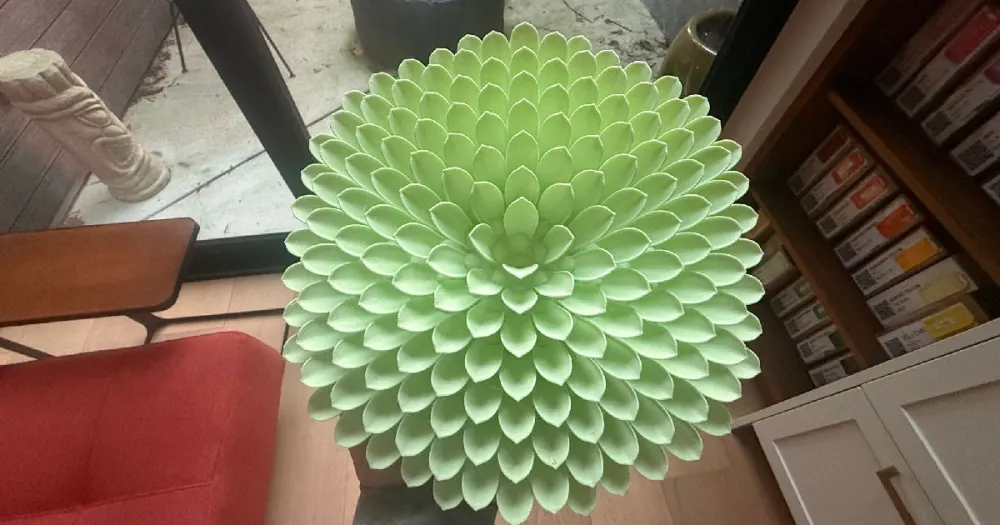 Succulent - Mini