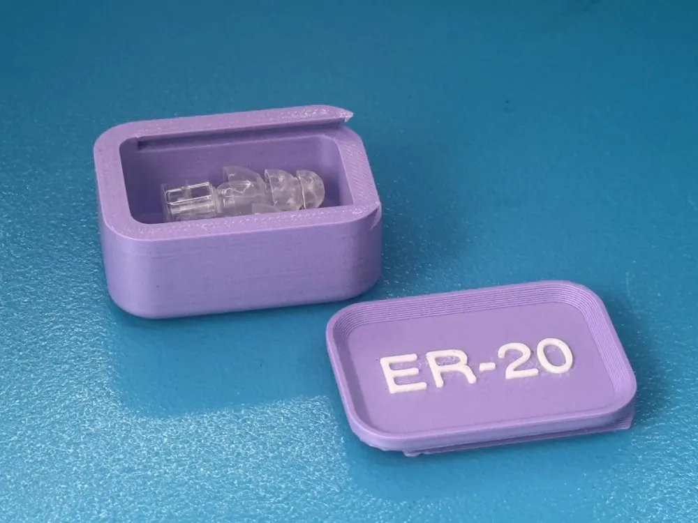 Earplug case