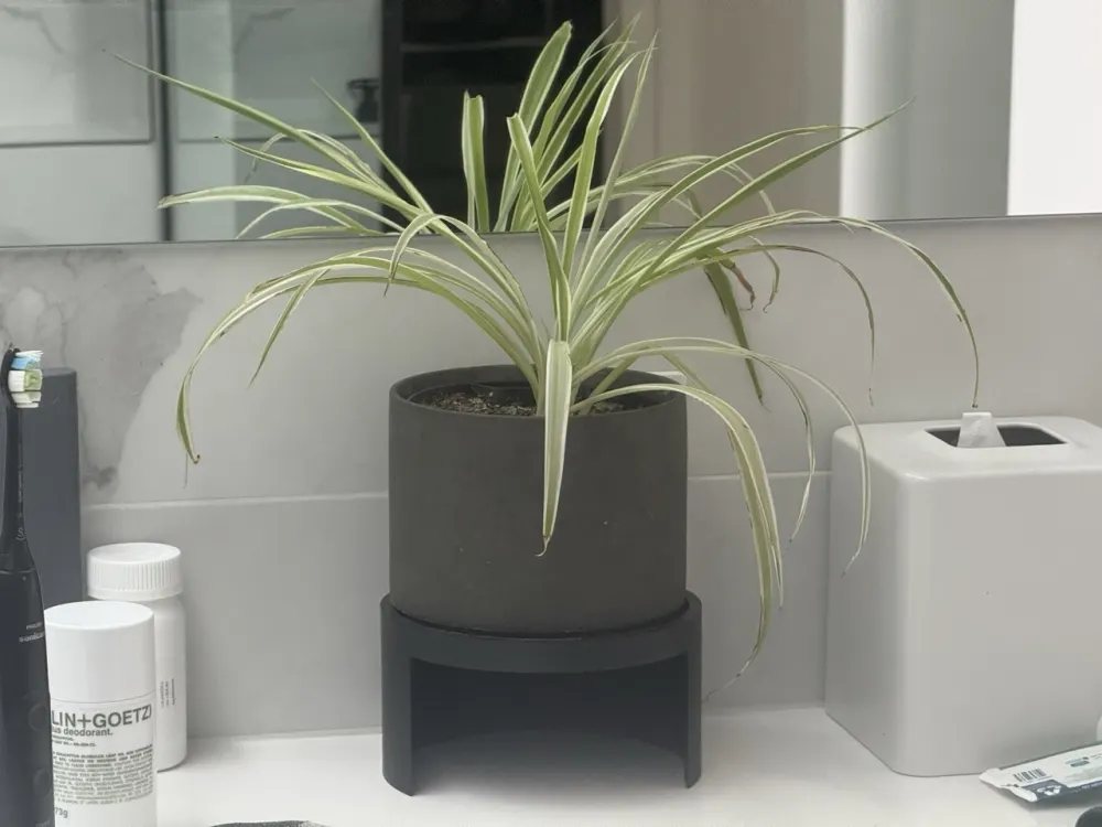 Flower Pot Raiser / Storage